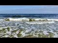 Robb s Thursday Morning Red Tide Update for North Naples FL 12 17 20