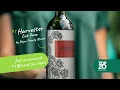 Top 20 Wines of 2024 - Revealing our Wine of 2024