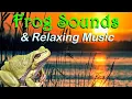 Frog Sounds \u0026 Relaxing Music | ASMR Nature Sounds with Frogs \u0026 Meditative Music