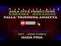 Download Lagu Karaoke Makassar Palla Tojenna Anjayya || Ilham Iwan Tompo /  Nada Pria Tanpa vocal + lirik