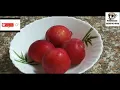 Yumy Plum Almond and Pear Dates milkshake@WESTERN NADAN RECIPES WITH SHYNO