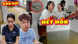 HẾT HỒN ! Rắn Bơi Theo Dòng Nước Lũ Vào Trong Nhà Giang Hốt Cả Nhóm Hốt Hoảng Nhưng Ko Có Cách
