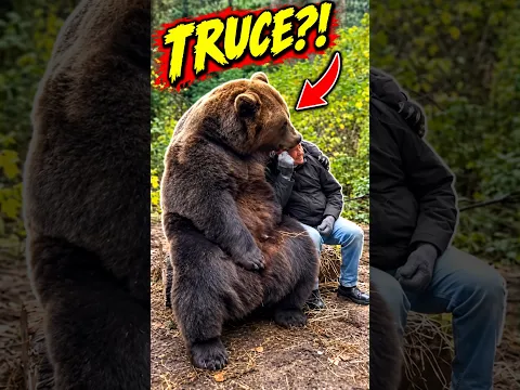 Animals That Chose A Truce Over A Kill