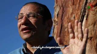 لو نفسك تعبت وأنهارت ترنيمة للأخ ناصف صبحي 