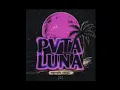 PVTA LUNA 