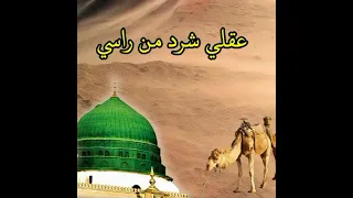 المداح عمار العبيدي بالله يانوك اخذني 