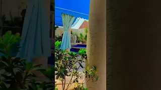 انشودة دعني اراك 