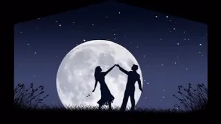 What Can L Do كل ليلة حب عيد مدحت صالح طلعت زين 