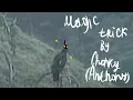 Two Harbors Eagle Cam by Explore org - Chonky Antonhy s Magic Trick