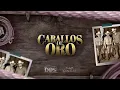 Kanales & Los Dos de Tamaulipas - Caballos de Oro (Video Lyric)