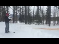 Bear Spray Testing