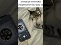 Download Lagu lagu pengantar tidur:v #mangu #laguviral #fyp #shorts