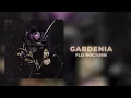 Download Lagu Flo Nocturn - Gardenia | Offical Audio