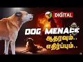 Download Lagu PROMO | DOG MENACE ஆதரவும்... எதிர்ப்பும்... | DOG Debate | Pet Dogs | Stray Dog Issue