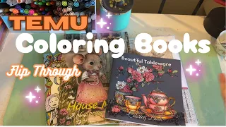 Temu Coloring Book Flip Through