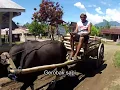 Download Lagu Indonesia -- Glimpses of Jailolo on West Halmahera