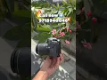 Download Lagu Canon eos 80d with 18-55 price only ₹29000
