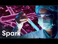 How Scientists Are Making A World Without Disease