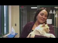Local Humane Society Hosts Third Annual One-Dollar Cat Adoption Day