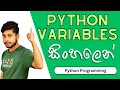08 Variables Python Programming Sinhala