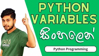 08 Variables Python Programming Sinhala