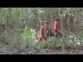 Download Lagu Happy Time - Selina and Sirinya (Official Music Video)