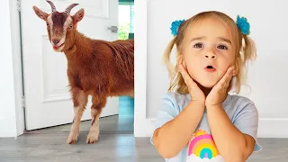 أليس تستكشف الحيوانات من خلال الأصوات وآثار الأقدام 