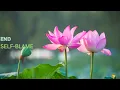 Eliminating Self-Blame The Logic of Non-Self