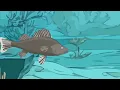 Sea Hand Monster Origin Evolution: How Sea Hand Monster Could Have Evolved