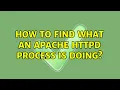 How to find what an Apache httpd process is doing 3 Solutions