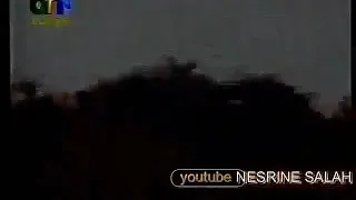 هاني العمري بغازلها وبسهرها دندنها