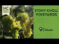 Stony Knoll Vineyards - Dobson NC North Carolina Weekend