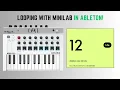 Live Looping with Arturia Minilab MKII in Ableton Live 12 Full Beginner Tutorial