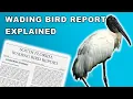 The South Florida Wading Bird Report Explained