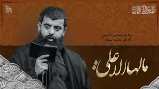 مالها الا علي مجتبى الكعبي مخيم الحسن المجتبى Mojtabaalkaabi4782 