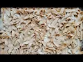 Download Lagu Emmer (Farro) Whole Grain Pasta