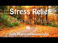 Download Lagu 🍂 Autumn Calm Stress Relief | Soft Piano for Deep Relaxation \u0026 Calm Focus 🌿