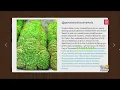 Baltimore Buzz Lucky Green Treats For Your St Patrick s Day