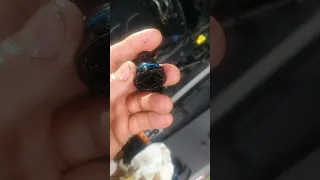                                              دندنها