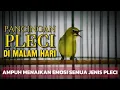 Download Lagu JAGONYA BIKIN PLECI BUKA PARUH🔥PLECI GACOR BONGKAR MATERI COCOK BUAT MENAIKAN EMOSI PLECI LAIN