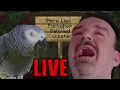 Download Lagu Let's Celebrate The Life Of DSP's Robust Digital Bird