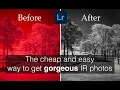 TUTORIAL how to create stunning infrared photos in Lightroom in 15 minutes