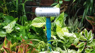 Handmade Water Sprinkler #shorts