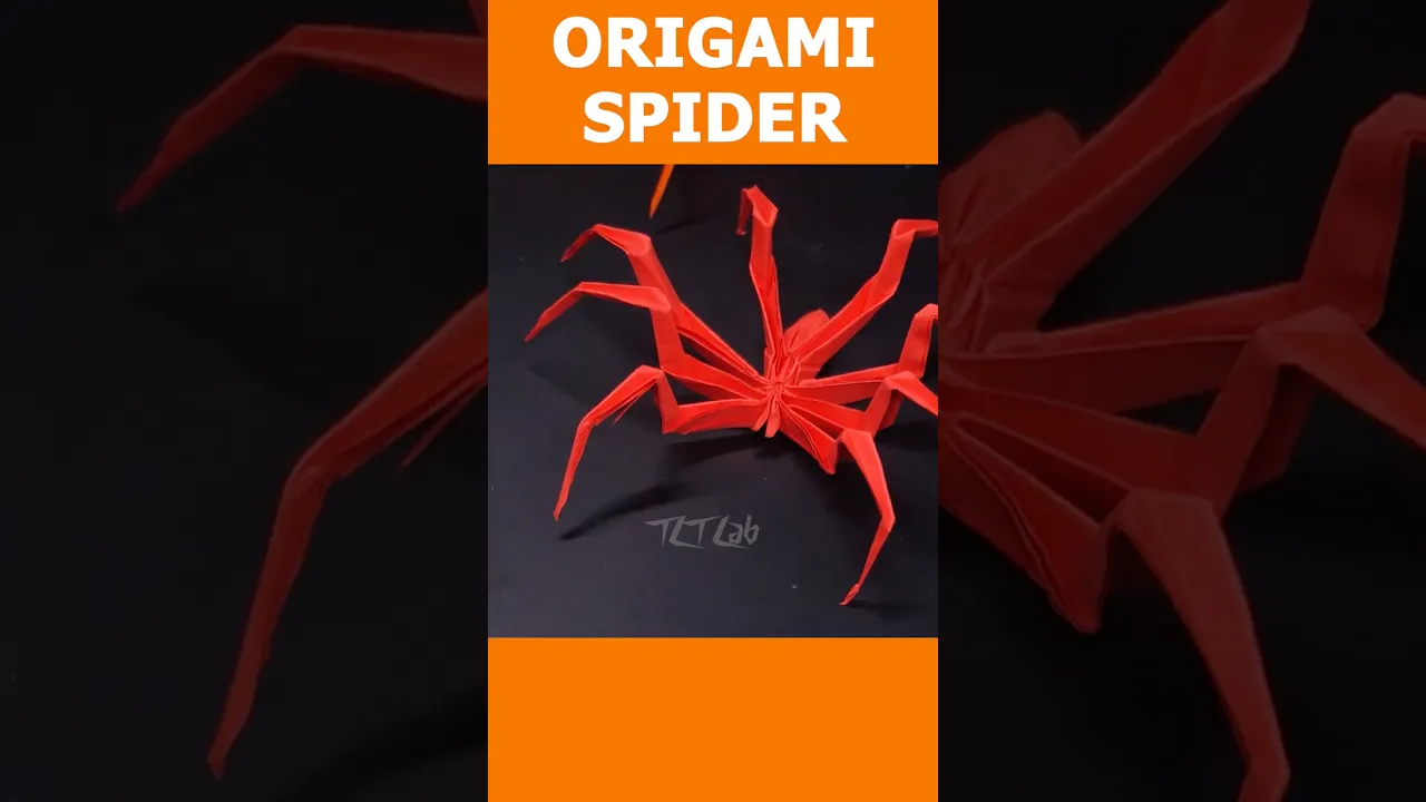 Amazing spider 👨