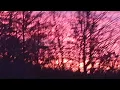 Sternenmeer - Till Batzdorf