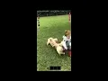 This Is How You Died Project Zomboid