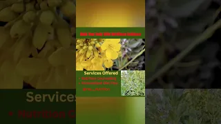 Comment To Get Personalised Diet Plan Enjoy Food Eating Healthy Good Food Ray Nutrition 