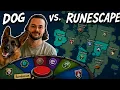RuneScape but my Dog Chooses Everything