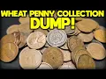 WHEAT PENNY COLLECTION DUMP COIN ROLL HUNTING PENNIES