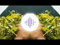 Chai party(slowed-reverb) bass-boosted 